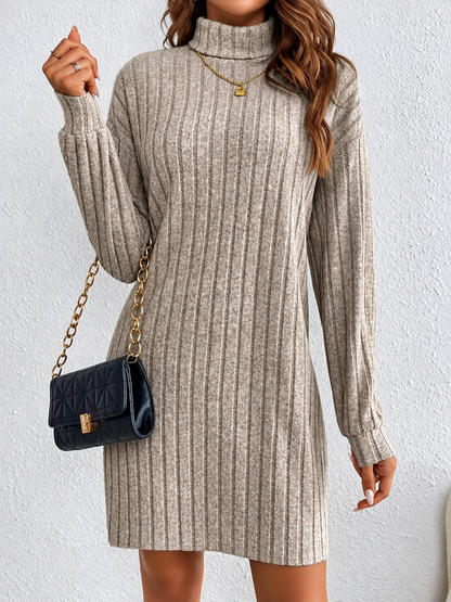 Ribbed Knit Turtleneck Mini Dress