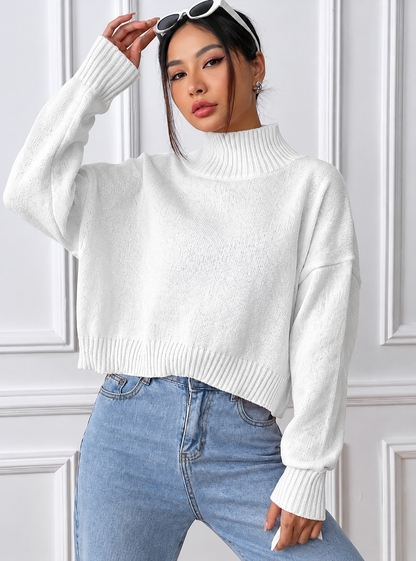 Turtleneck Long Sleeve Sweater