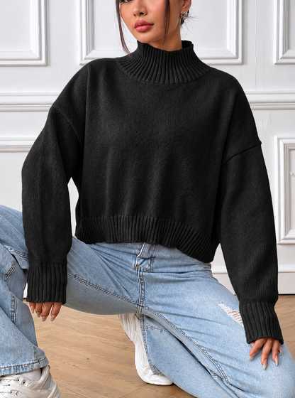 Turtleneck Long Sleeve Sweater